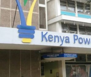 Kenya power services